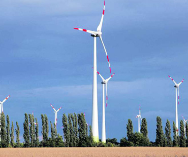 Propeller-Wälder - Dominanz der Windenergie
